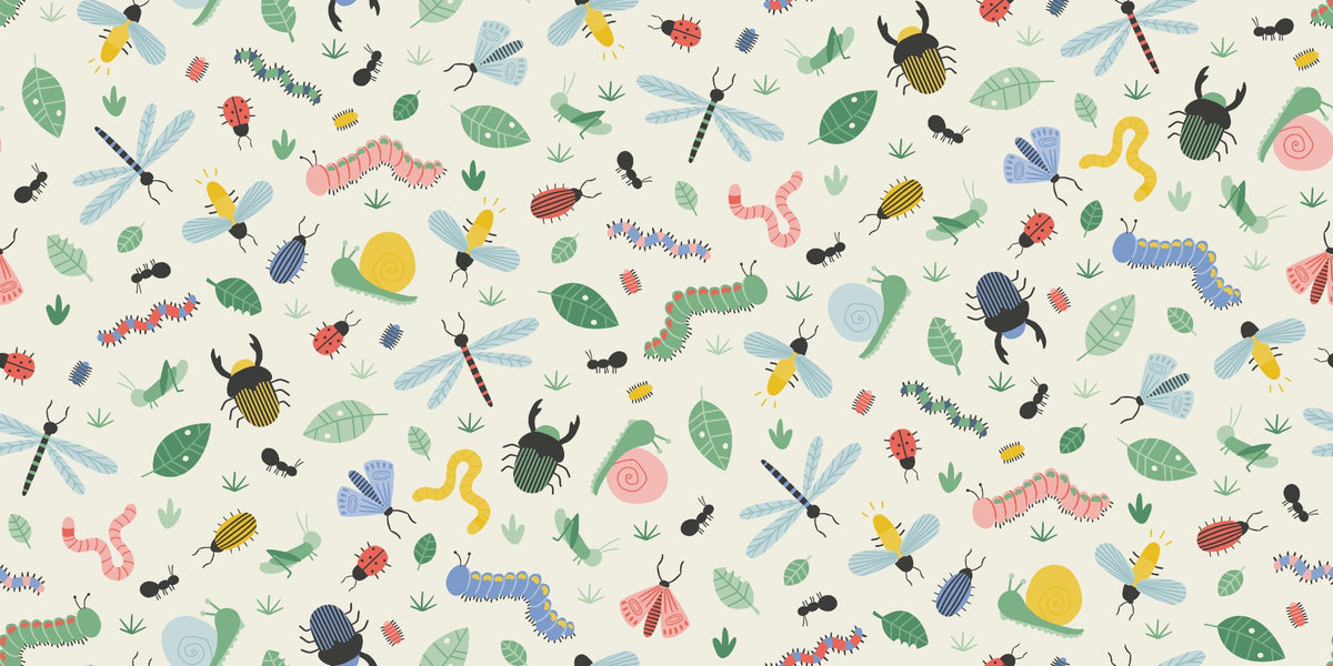 Birds, Bugs and Butterflies