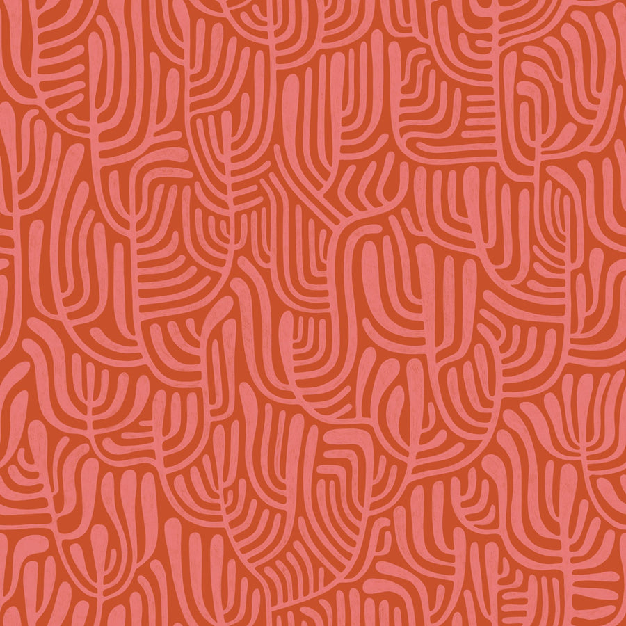Coral Curve