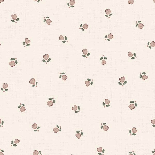 Early Promise, delicate buds — Cream