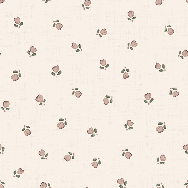 Early Promise, delicate buds — Cream