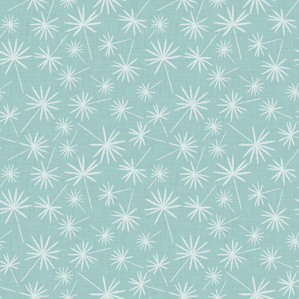 Robins Egg Aqua Blue