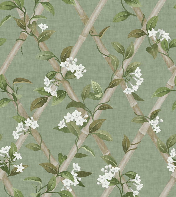 Sage Green