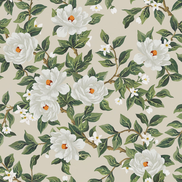 Soft Cream