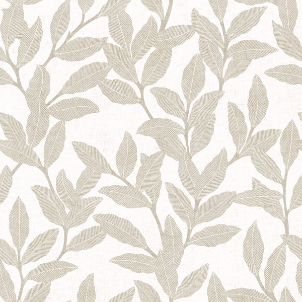 Dark Beige & White
