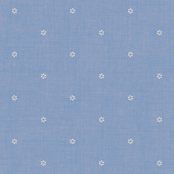 Blue & White